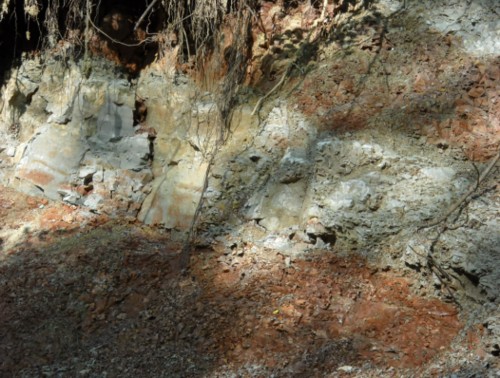 Rocce sedimentarie Campo dei Fiori